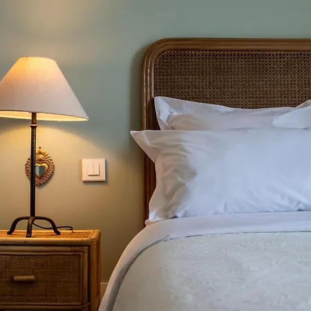 Le Perroquet Qui Bulle - Centre *